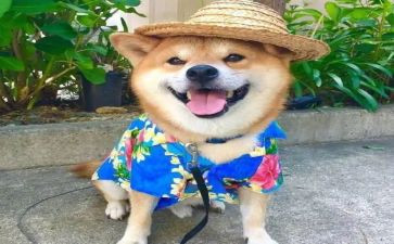 个人对未来的工作计划7篇