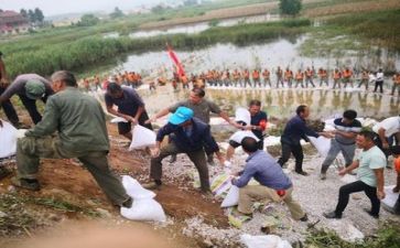 2022年教师个人工作计划小学5篇