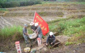 一年级上学期学期工作计划5篇