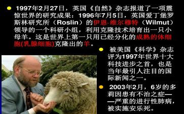 2023年个人年终工作总结范文优秀5篇
