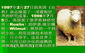 精益化管理培训心得7篇