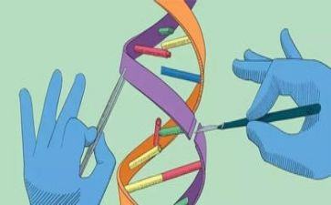 小学3年级科学教学总结8篇