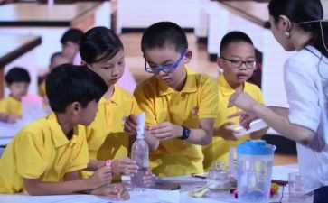 小学科学课教师年终总结5篇