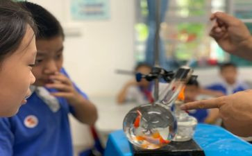 蚕科学课教案精选5篇