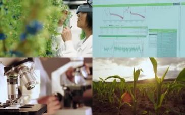 2023科研工作计划通用6篇