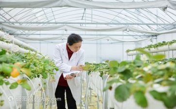科研年度工作计划参考7篇