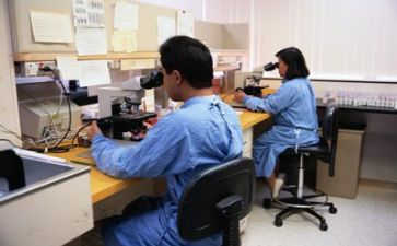 2022年营业部工作计划6篇