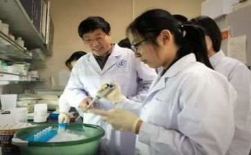 个人科研工作总结5篇