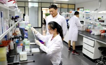 2022年八年级上册生物教学工作计划8篇
