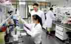 2022年八年级上册生物教学工作计划8篇