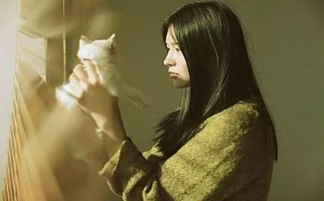 上下半年工作总结模板5篇