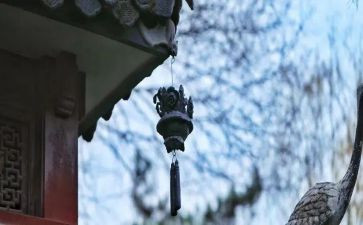 我的苦与乐作文250字5篇