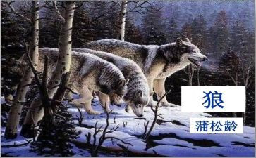 七年级《狼》教案模板7篇