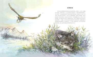 狼王梦读后感字200字5篇