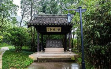 2022年国培教师总结6篇
