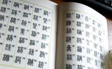 滥用字的调查报告6篇