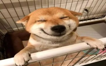 音乐组工作计划推荐5篇
