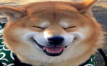 幼儿园大班音乐春天教案6篇