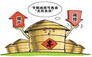 粮食节活动策划推荐6篇