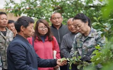 三年级线下册教学计划通用8篇