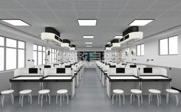 初中理化组工作总结5篇