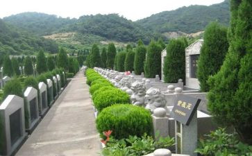 2024年参观烈士陵园心得体会通用8篇
