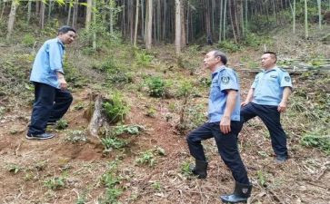 中学生安全教育日心得体会5篇