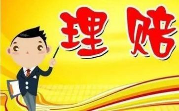 理赔工作的工作总结7篇