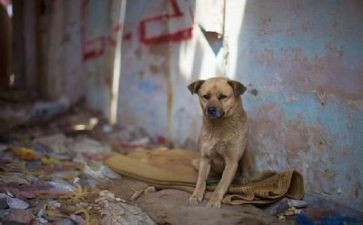 流浪地球的心得8篇