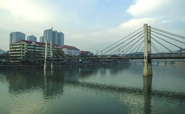 柳林风声的度读后感参考7篇