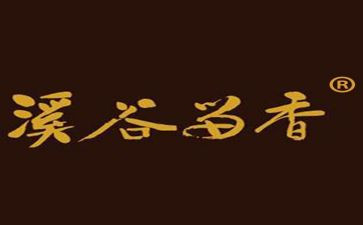 个人实践报告总结范文5篇