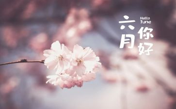 幼儿园中班六月份工作计划参考7篇
