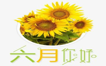 六月安全生产月总结8篇