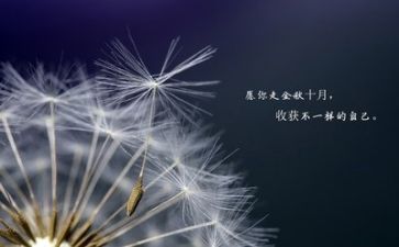 励志类心得体会8篇