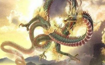 赛龙舟作文优质5篇