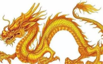 驯龙记读后感8篇