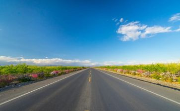 道路交通主题班会教案6篇