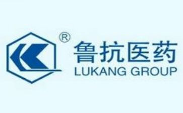 鲁抗新进员工培训总结6篇