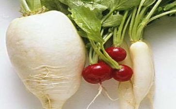 种萝卜体育活动教案5篇