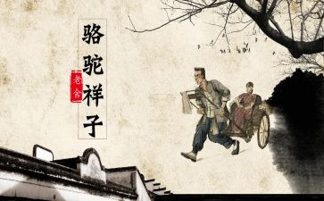 骆驼读后感600字作文7篇