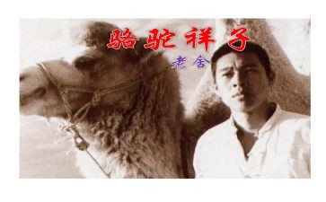 骆驼祥子1到3章读后感最新7篇