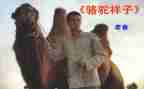骆驼祥子19心得体会最新7篇