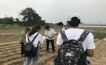 三年级英语下教学计划8篇