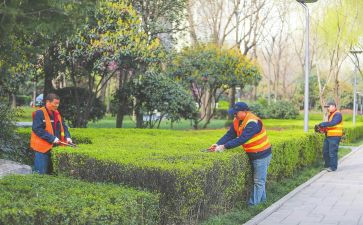 工作计划及工作总结7篇