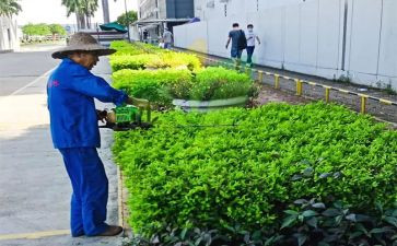绿化周工作计划范文7篇