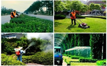 绿化站工作总结8篇