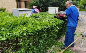 绿化养护个人工作总结5篇