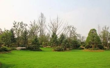 2022年课程标准培训心得体会5篇