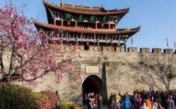 关于旅游心得体会范文7篇