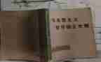 《女巫》的读后感优秀7篇